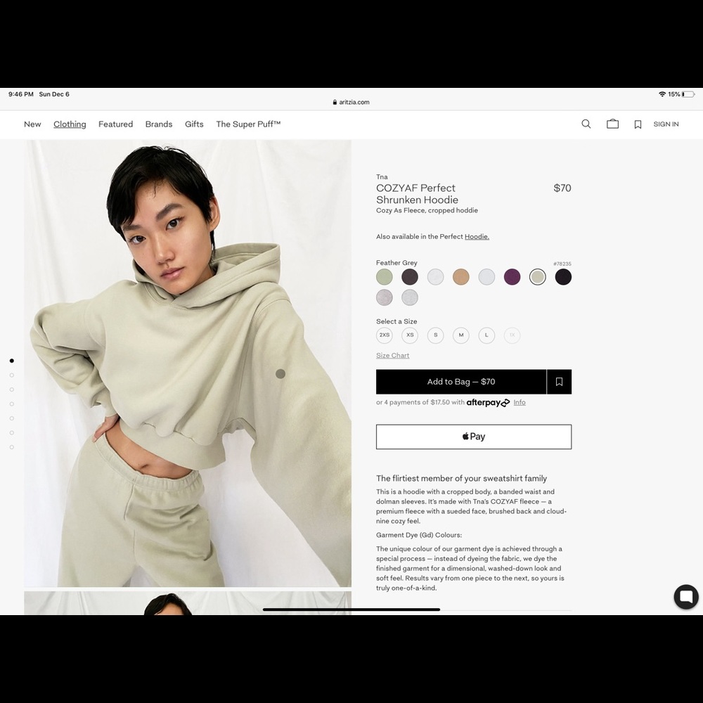 COPY - Aritzia cozy af perfect shrunken hoodie - Picture 2 of 4